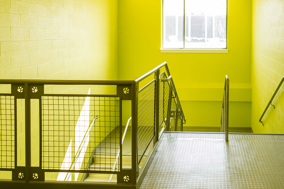 William J. Johnston Middle School, Colchester CT stairway Tecton Architects